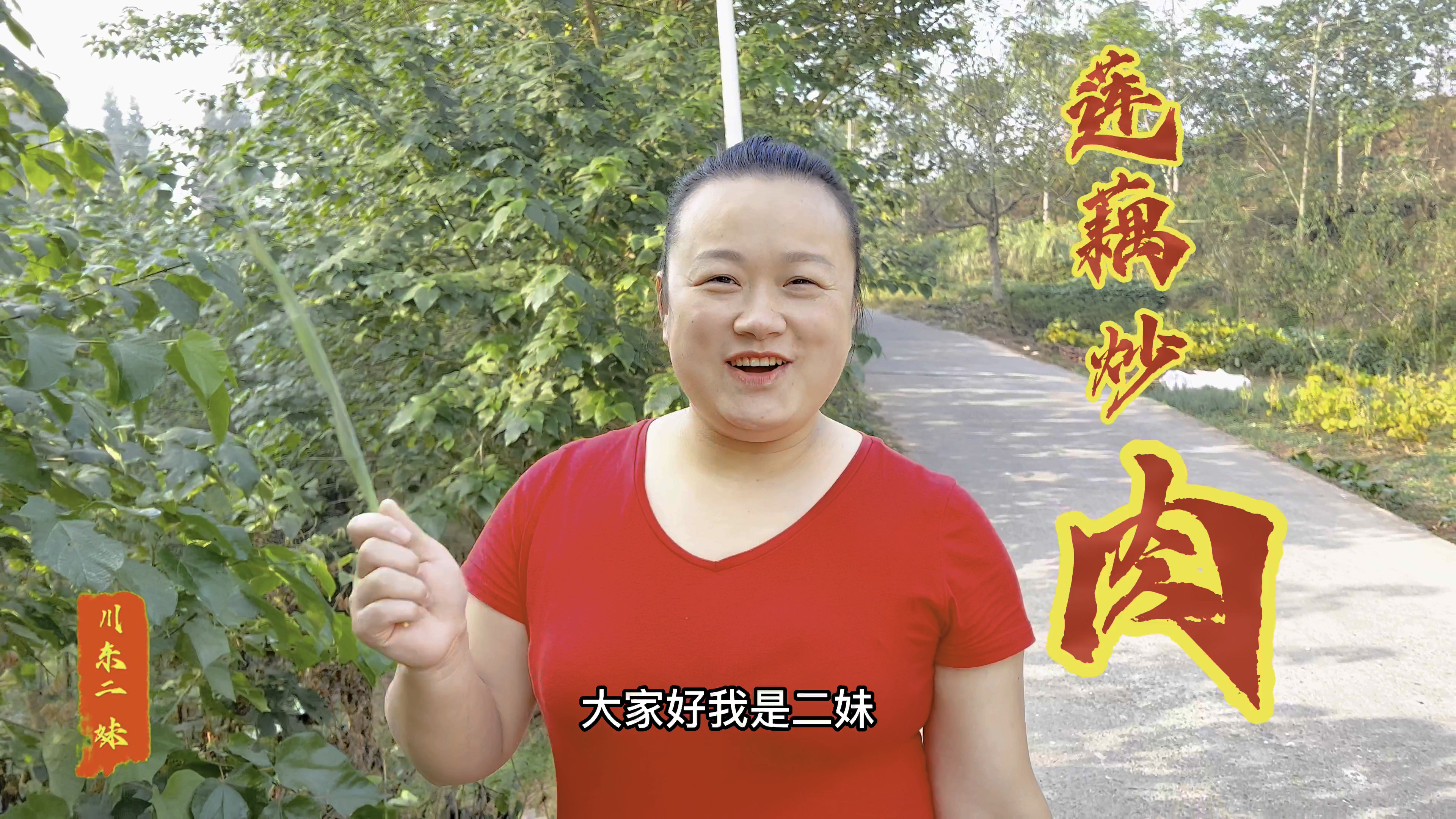 莲藕炒肉怎么做才好吃,炒出来又脆又下饭,二妹教你们做菜