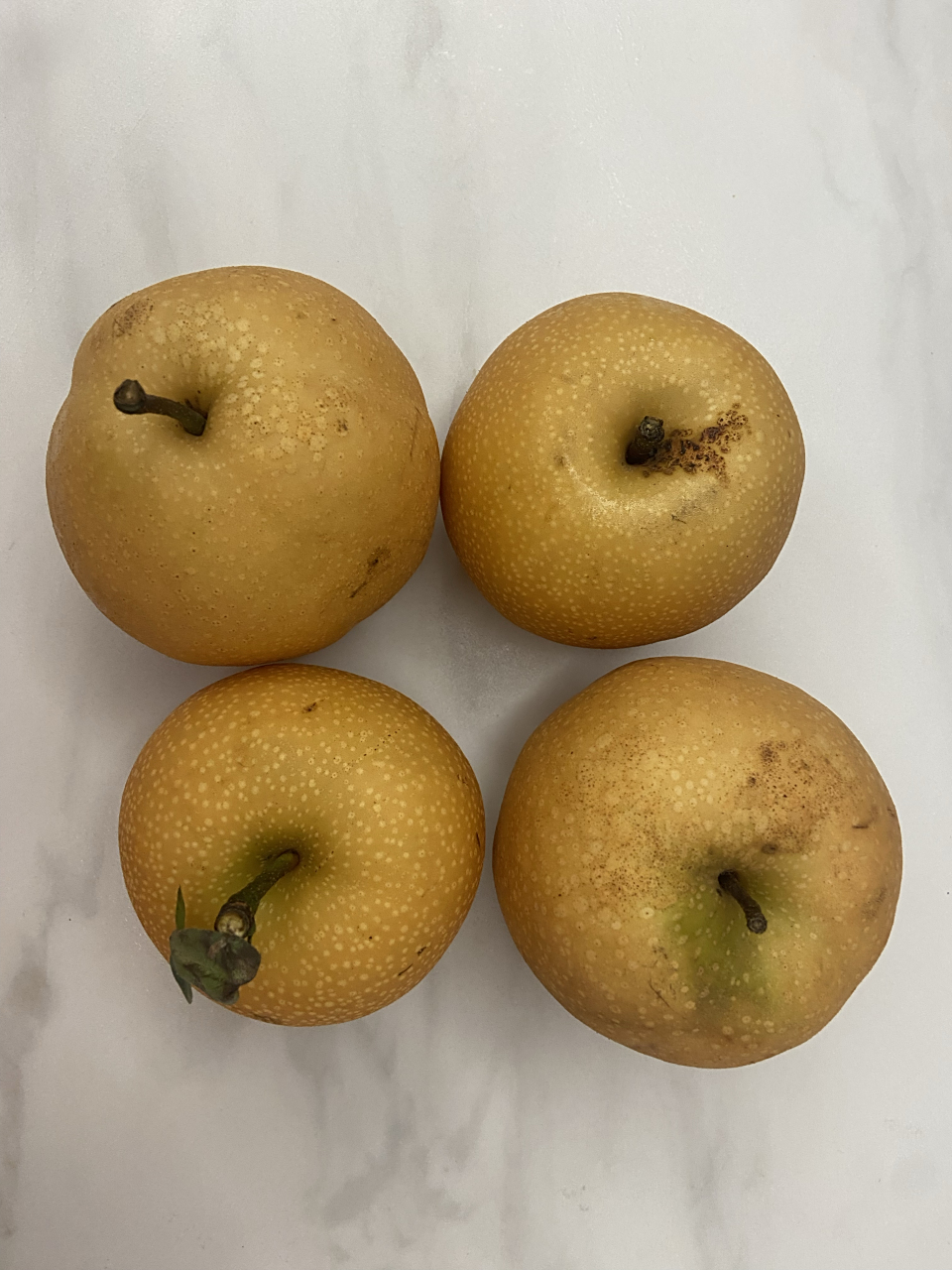 丰水梨基本看不出花蒂; 果核:秋月梨目前种子很小,果核偏小.