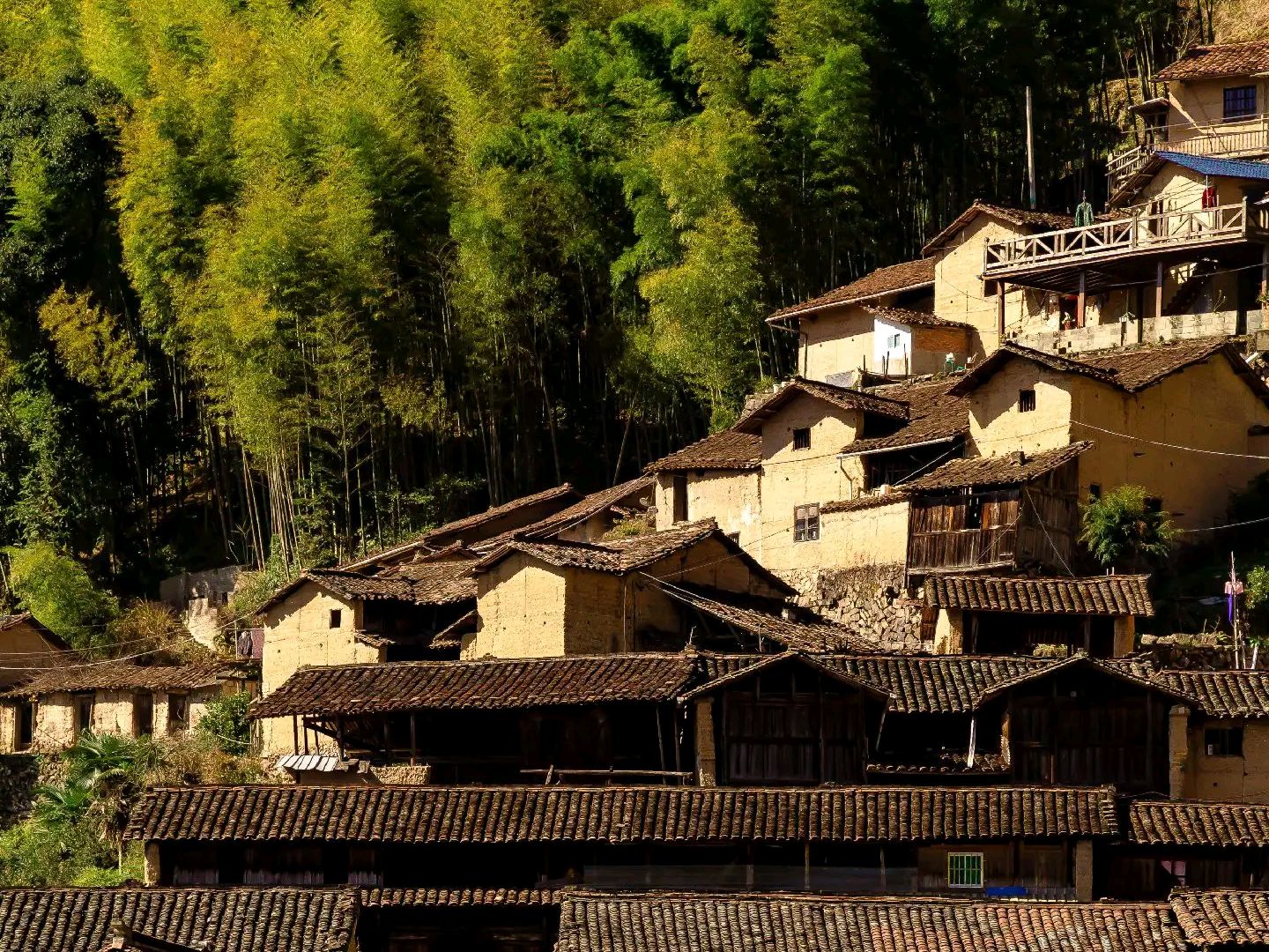 松阳横坑村:竹林深处的避暑天堂