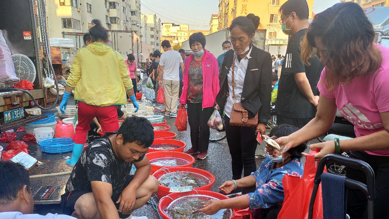 姑娘逛青岛早市海鲜种类多看看都是啥价格?
