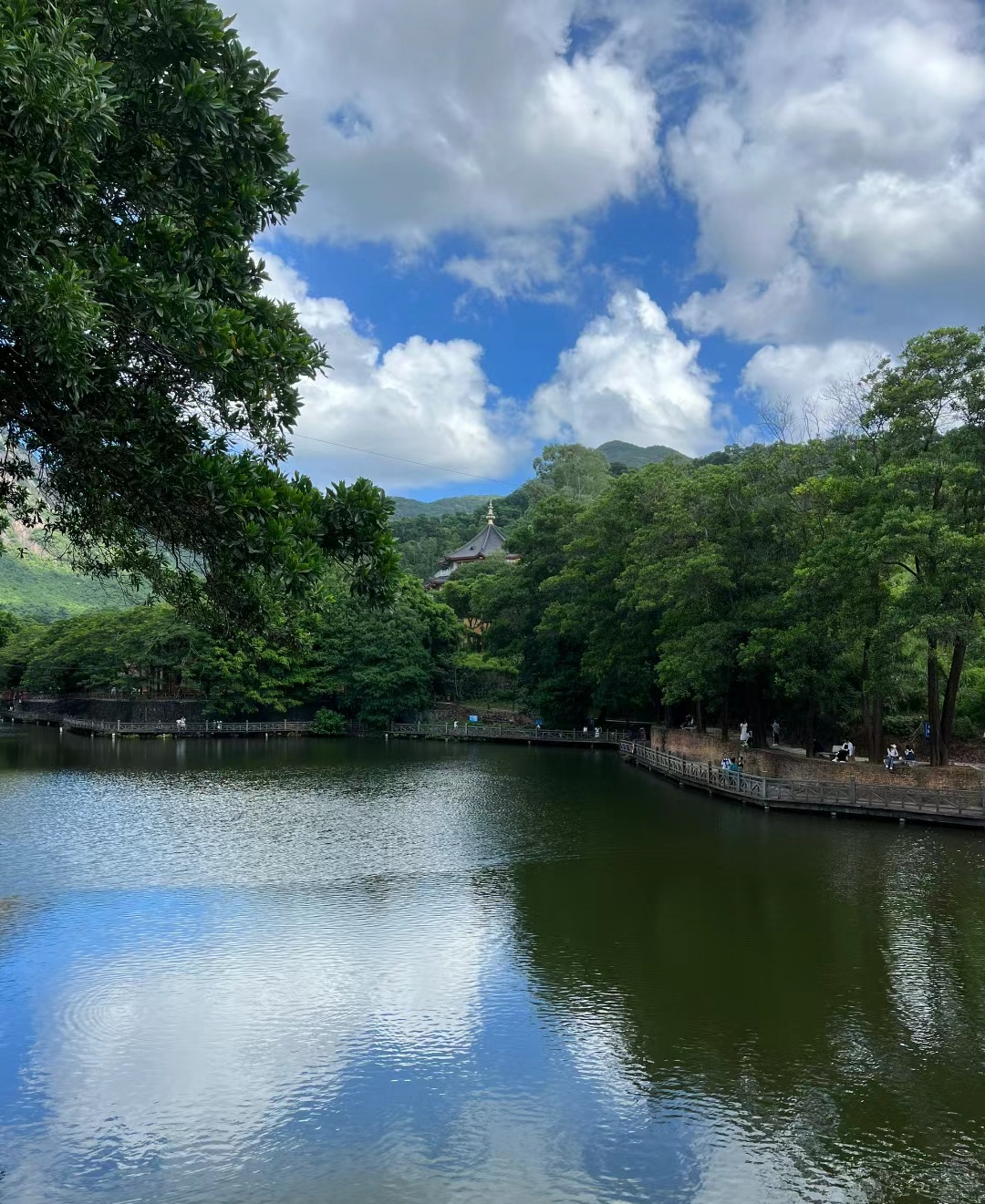 白沙湾公园,美丽的海岸,纷扬的沙滩,花海和绿树,构成迷人景色