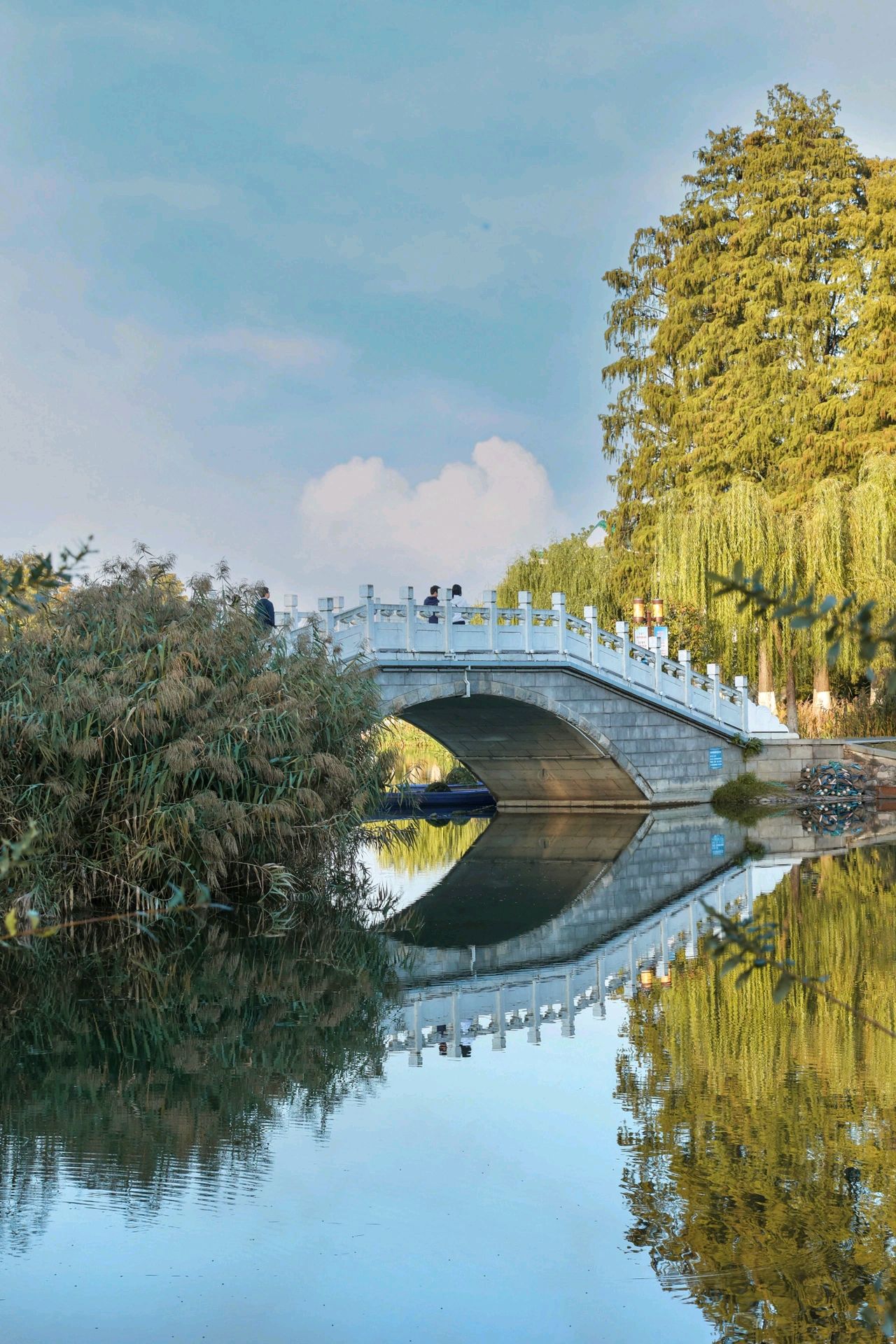 东湖听涛景区门票图片