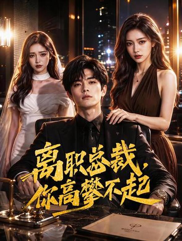 离职总裁，你高攀不起