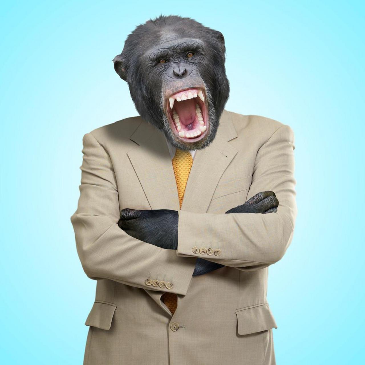 女儿问爸爸:爸爸,都说大猩猩是最像人的动物,那为什么它们没有进化成