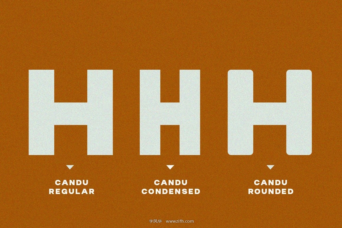 Candu Typeface Font-4.jpg