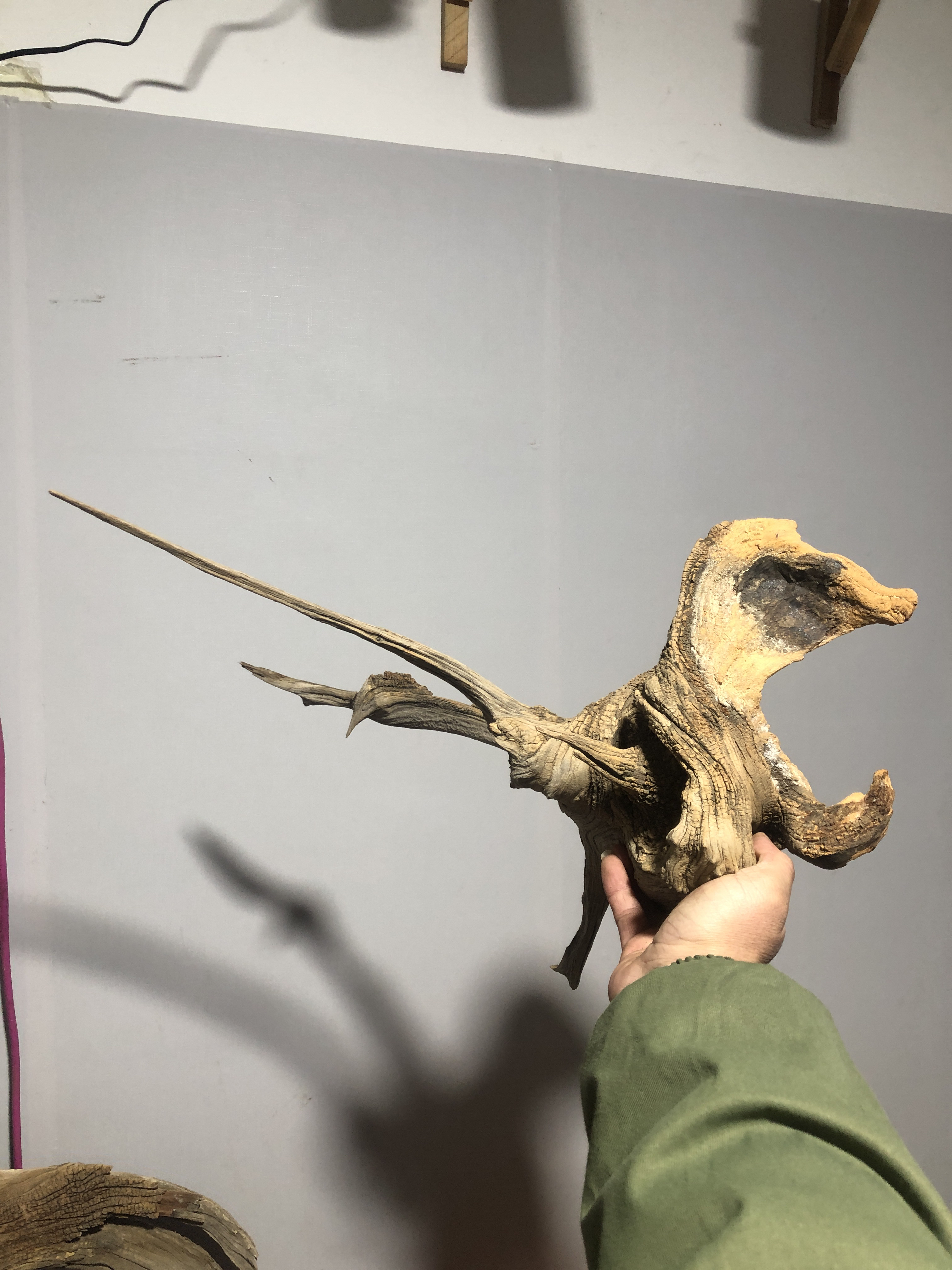 北太行崖柏精品摆件