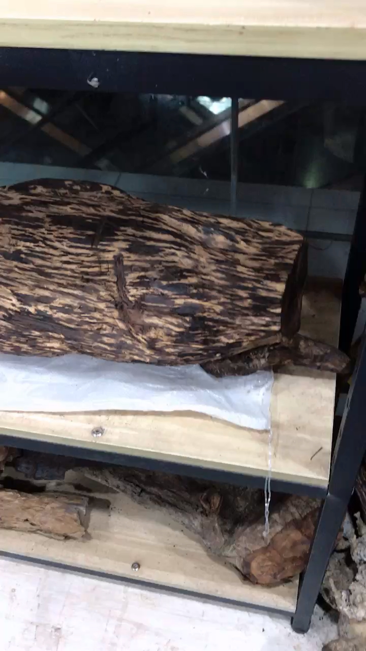 朋友收藏的一块实心满油海南花梨公,红降,土沉香,迦南香,重器!-度小视