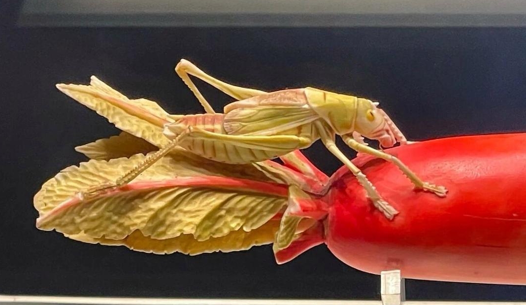 清代象牙萝卜白菜如此艳丽