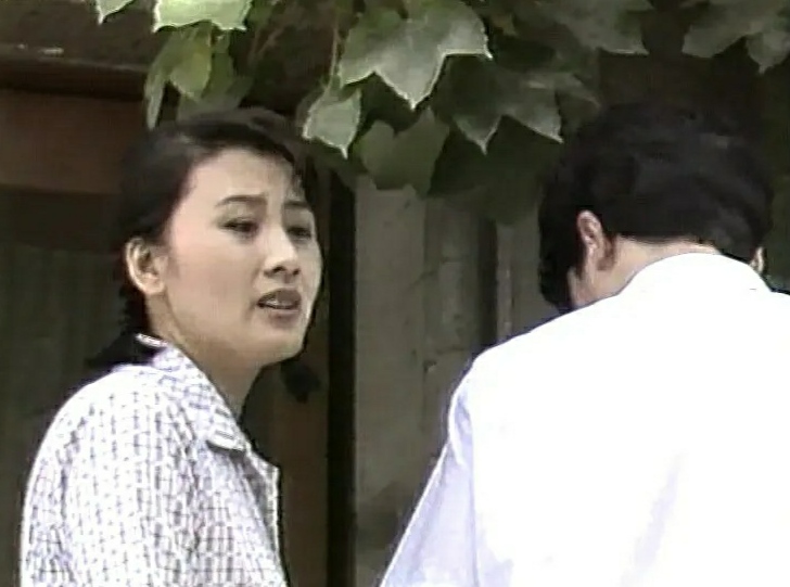 重看《渴望》:刘慧芳与宋大成暧昧不明,却嫁给了王沪生