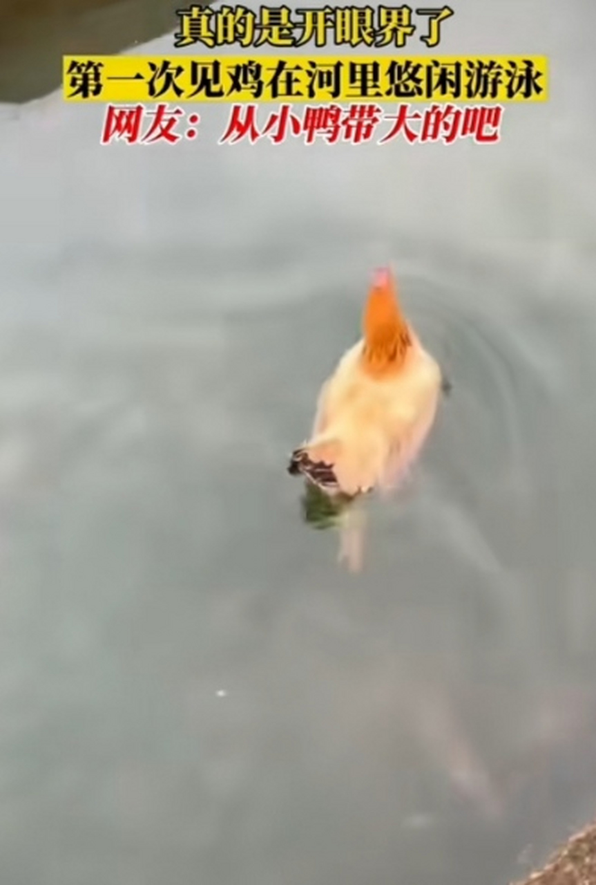 你知道的太多了