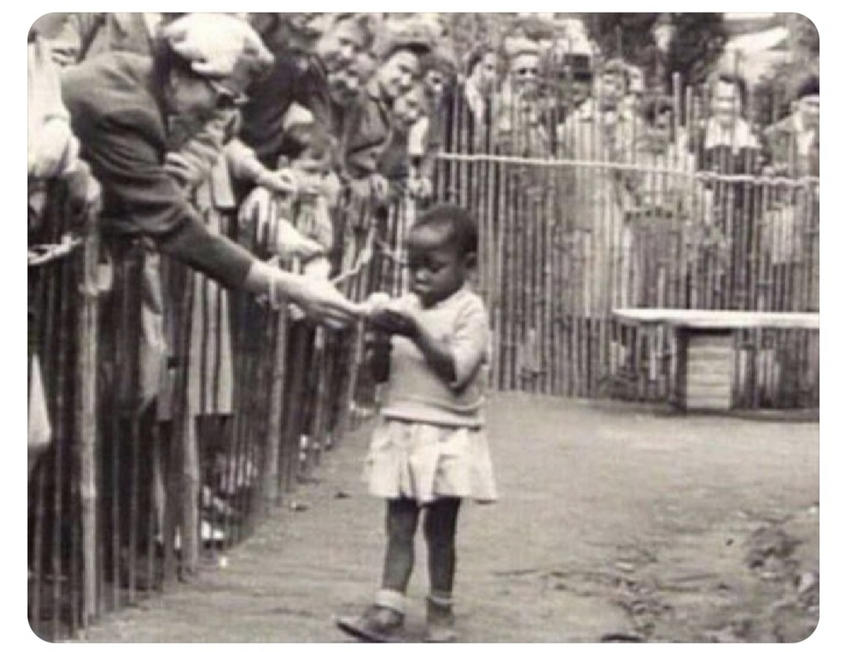 1958年在比利时,一名非洲女孩被当做猴子饲养在动物园里以吸引游客.