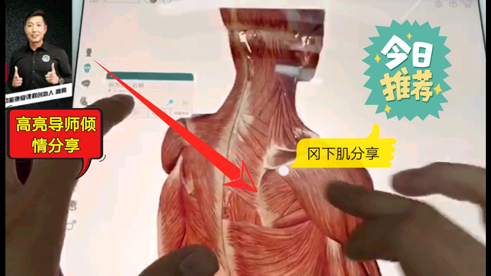 人体630多块肌肉解刨学详解,给着高亮导师学解刨,健身你的值得看