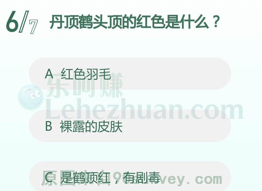 丹顶鹤头顶的红色是裸露的皮肤