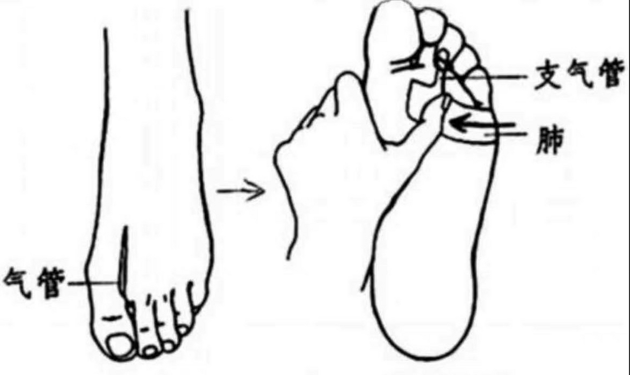 足底咳嗽按摩手法图解图片