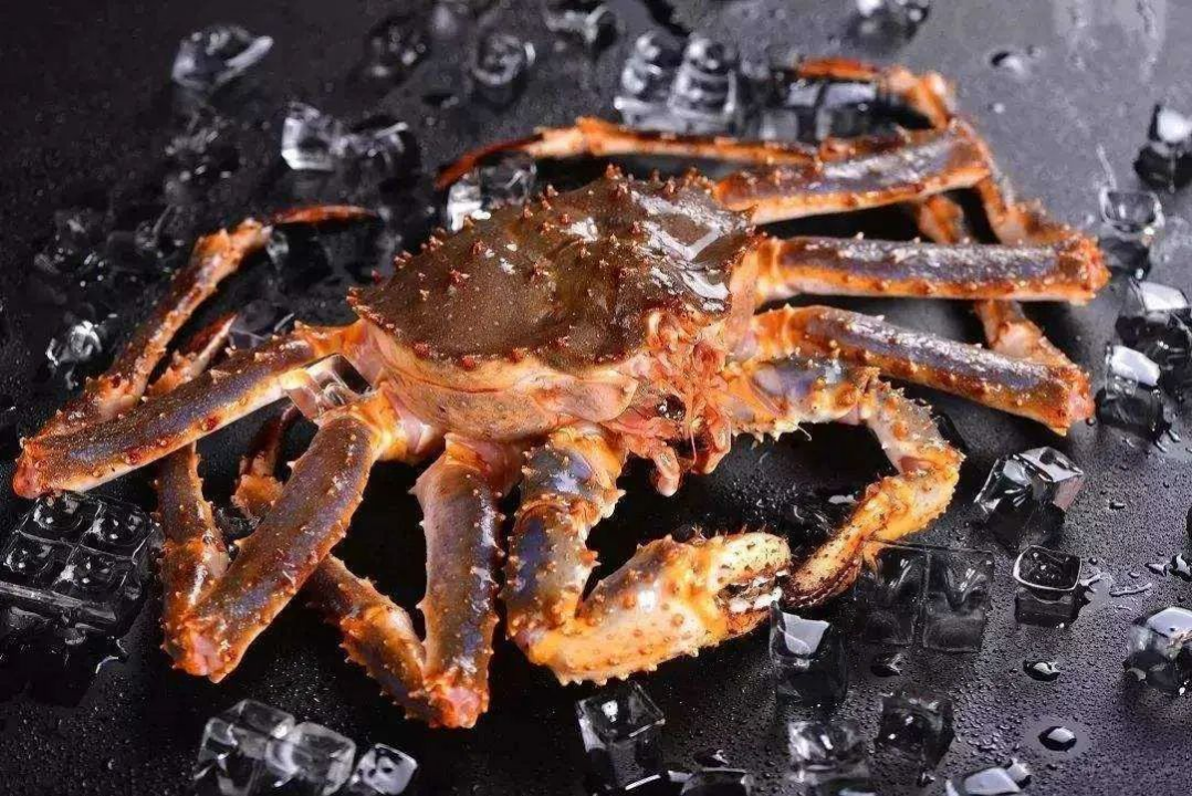 俄罗斯帝王蟹产地在哪里