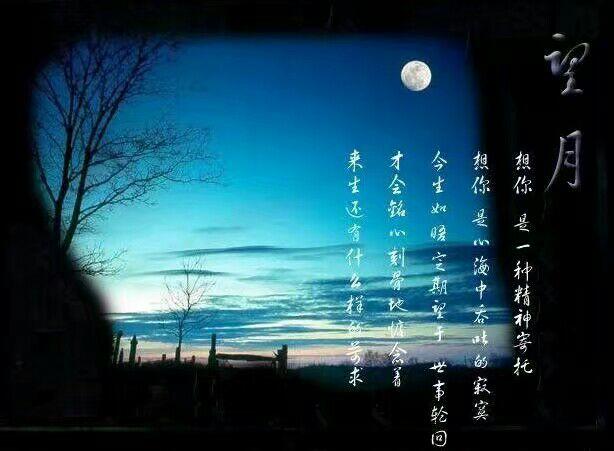 此情已逝,此爱成追忆