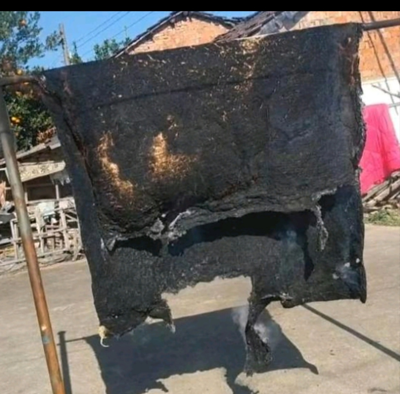 让不要晒偏要晒,晒焦了吧