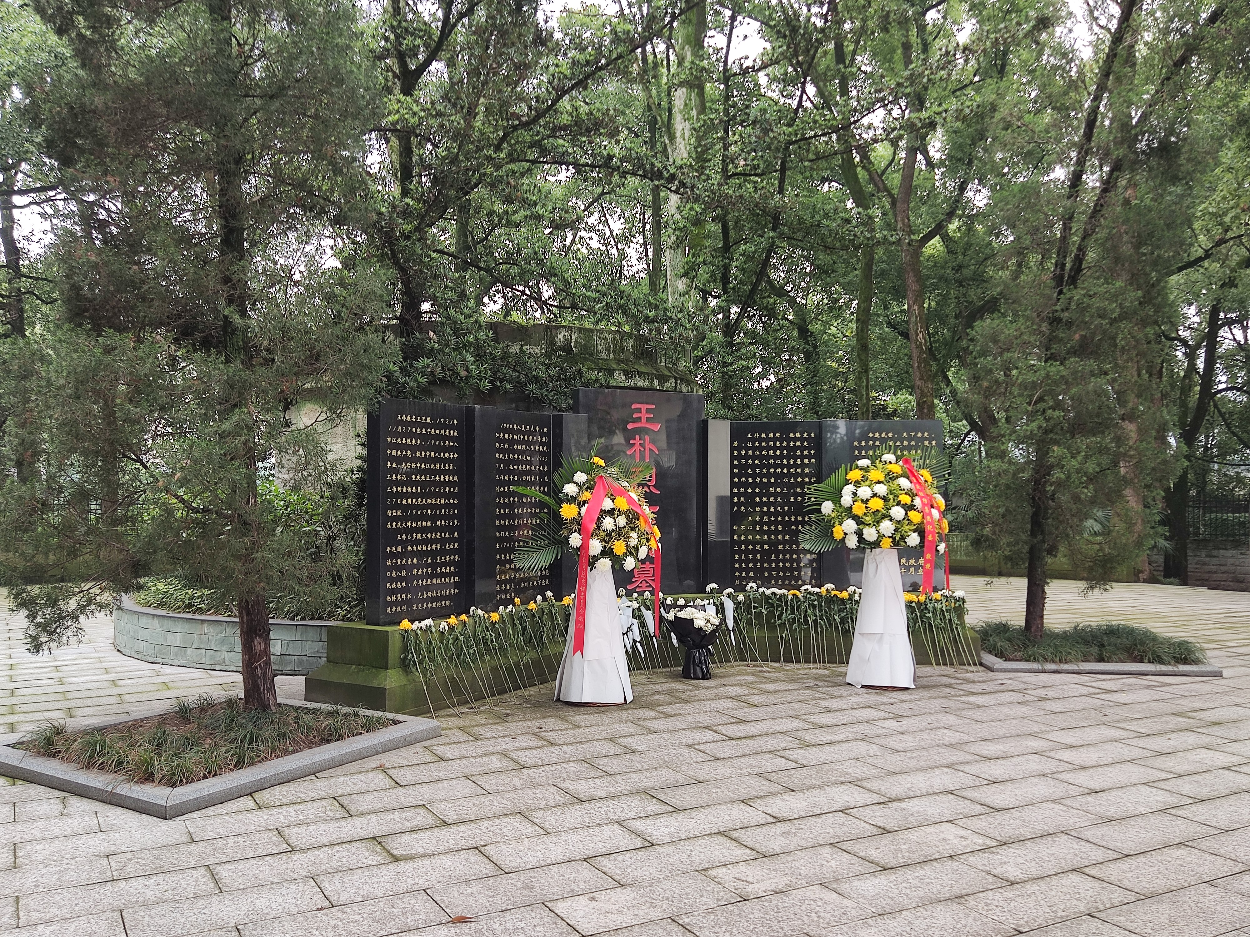 北碚靜觀被遺忘的烈士陵園,蒼翠挺拔莊重肅穆,英雄故事更感人