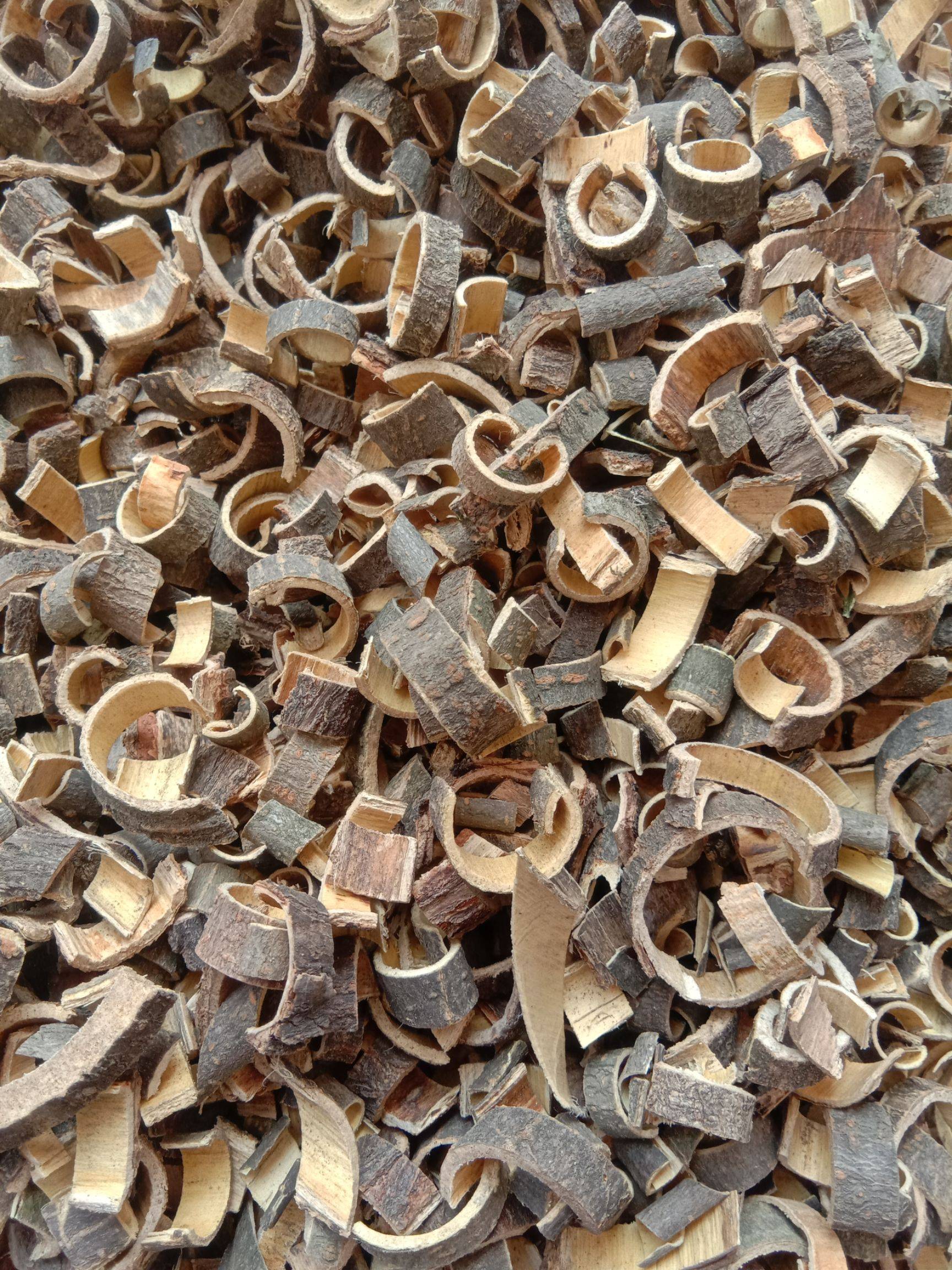 合欢皮的功效与作用