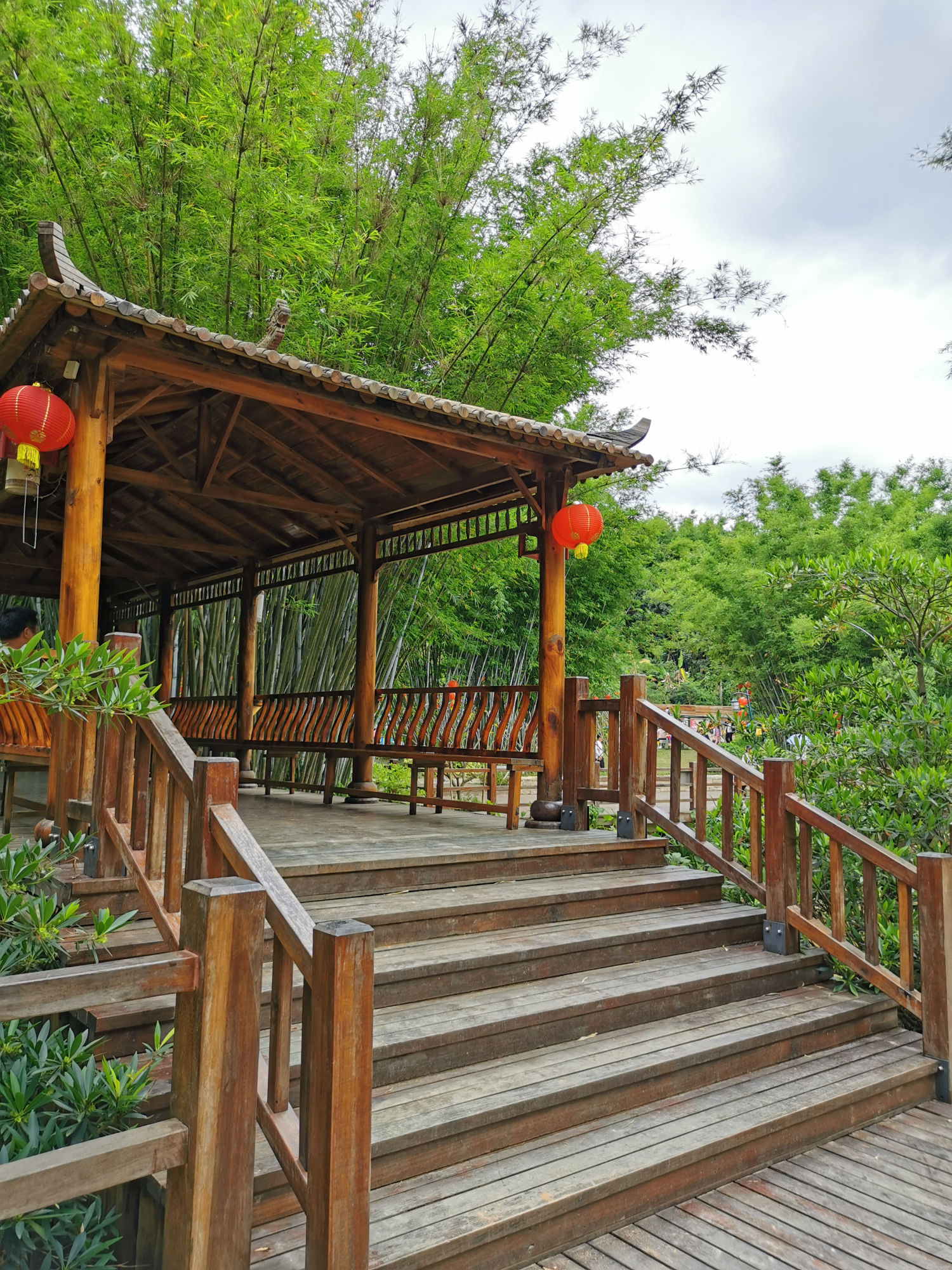 粤西小城风景之信宜旺同竹林