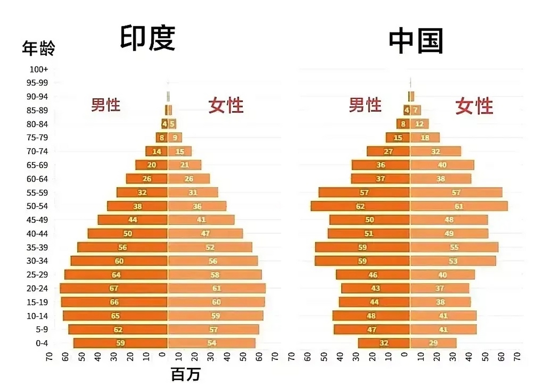 一张中国和印度的人口结构图 两个同为人口大国 年龄结构却完全不同