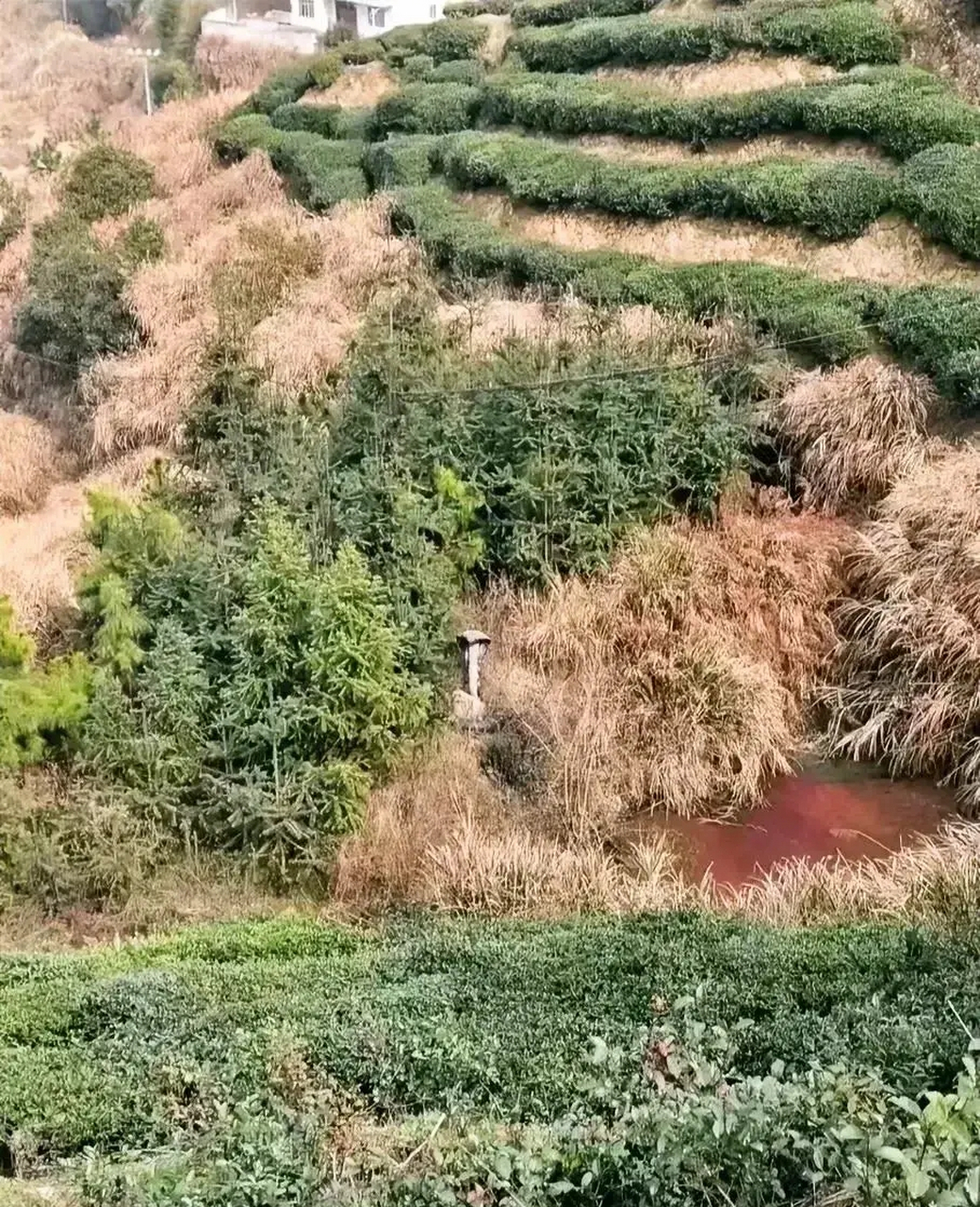 这么大根辣条,看我怎么把它拿下