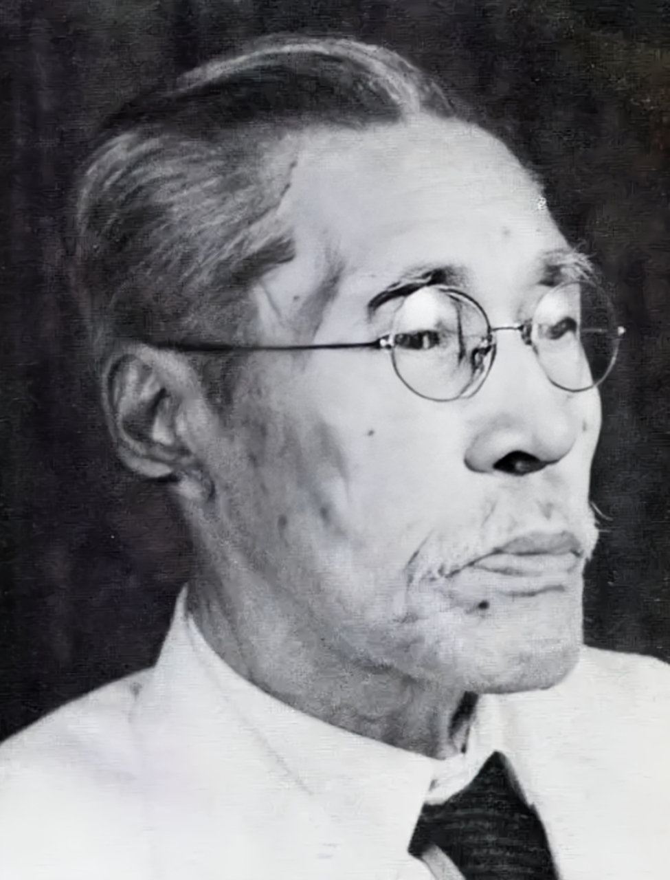 平沼骐一郎,日本投降后的28名甲级战犯之一,生于1867年10月25日,是