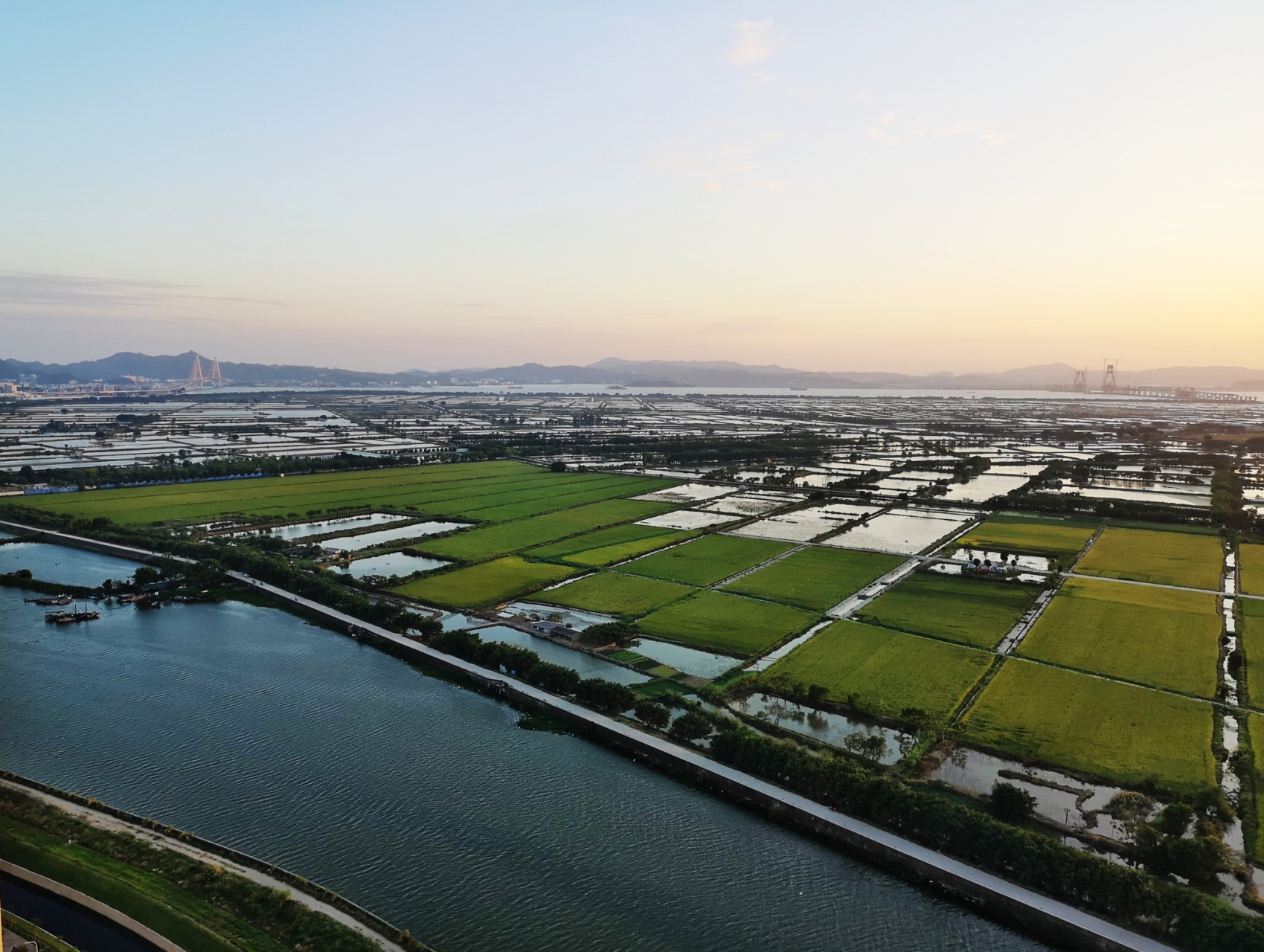 汕头有个叫牛田洋的地方,很美 #领潮新势力# 汕头市金平区有一块田园