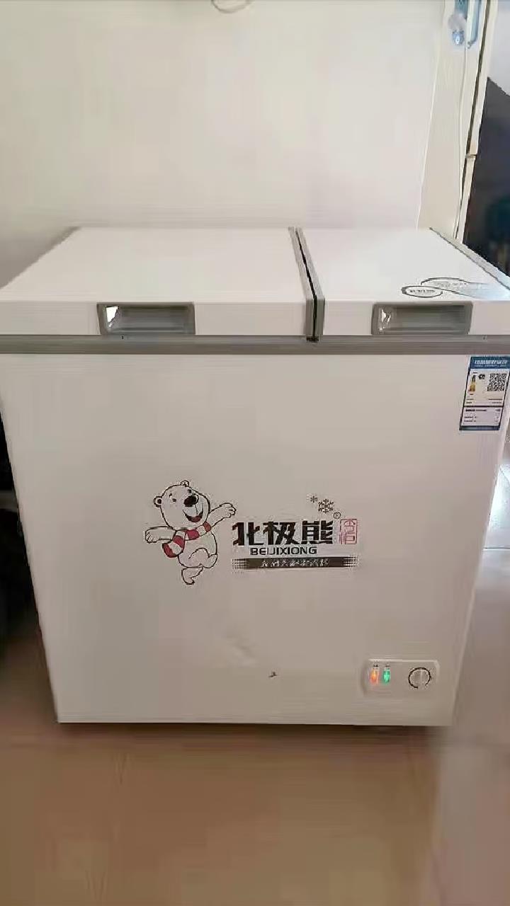 小型冰柜十大品牌图片