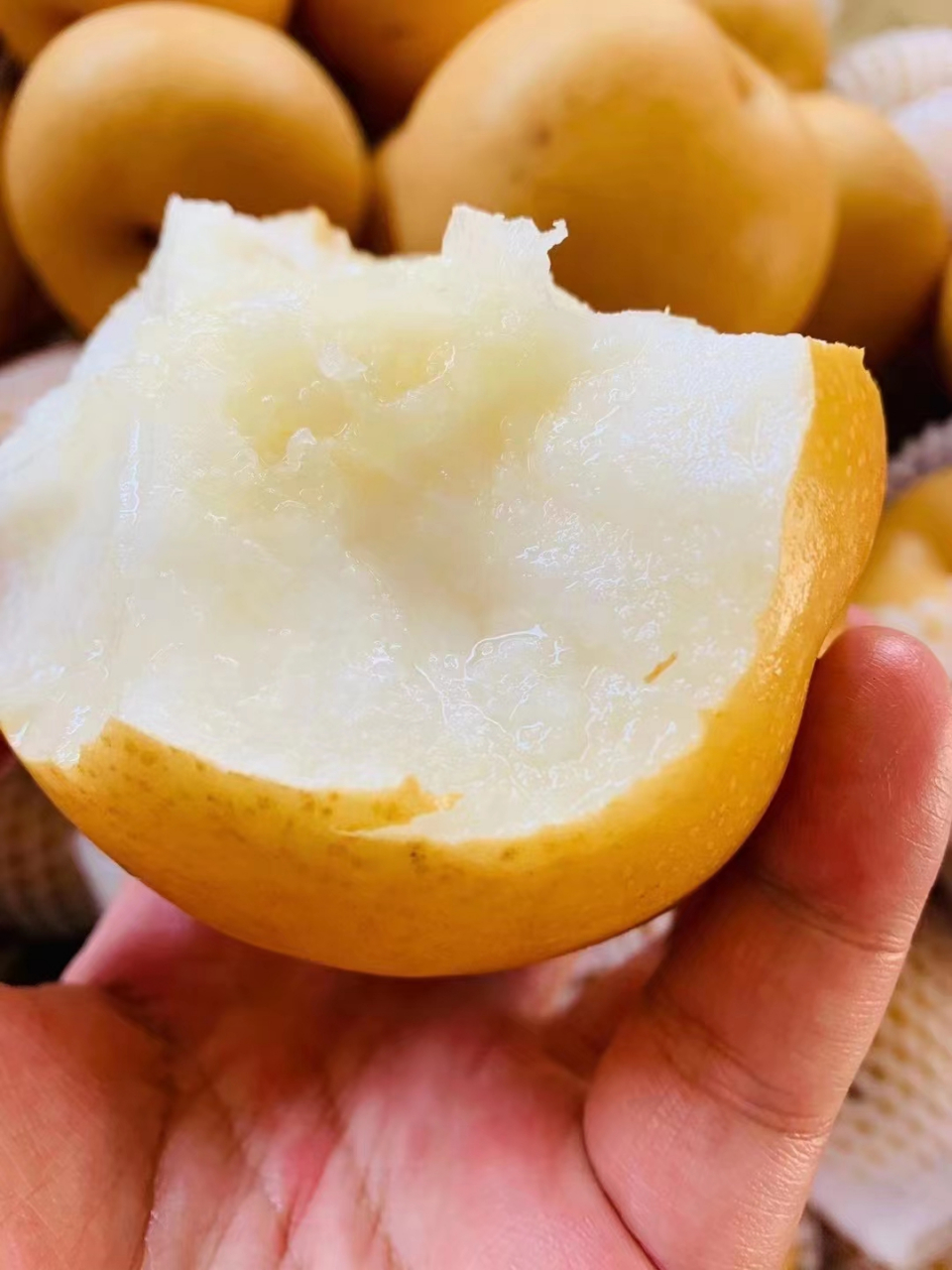 98小秋月圆黄梨,实拍 树上自然熟的款,香甜多汁9090 每天一颗梨