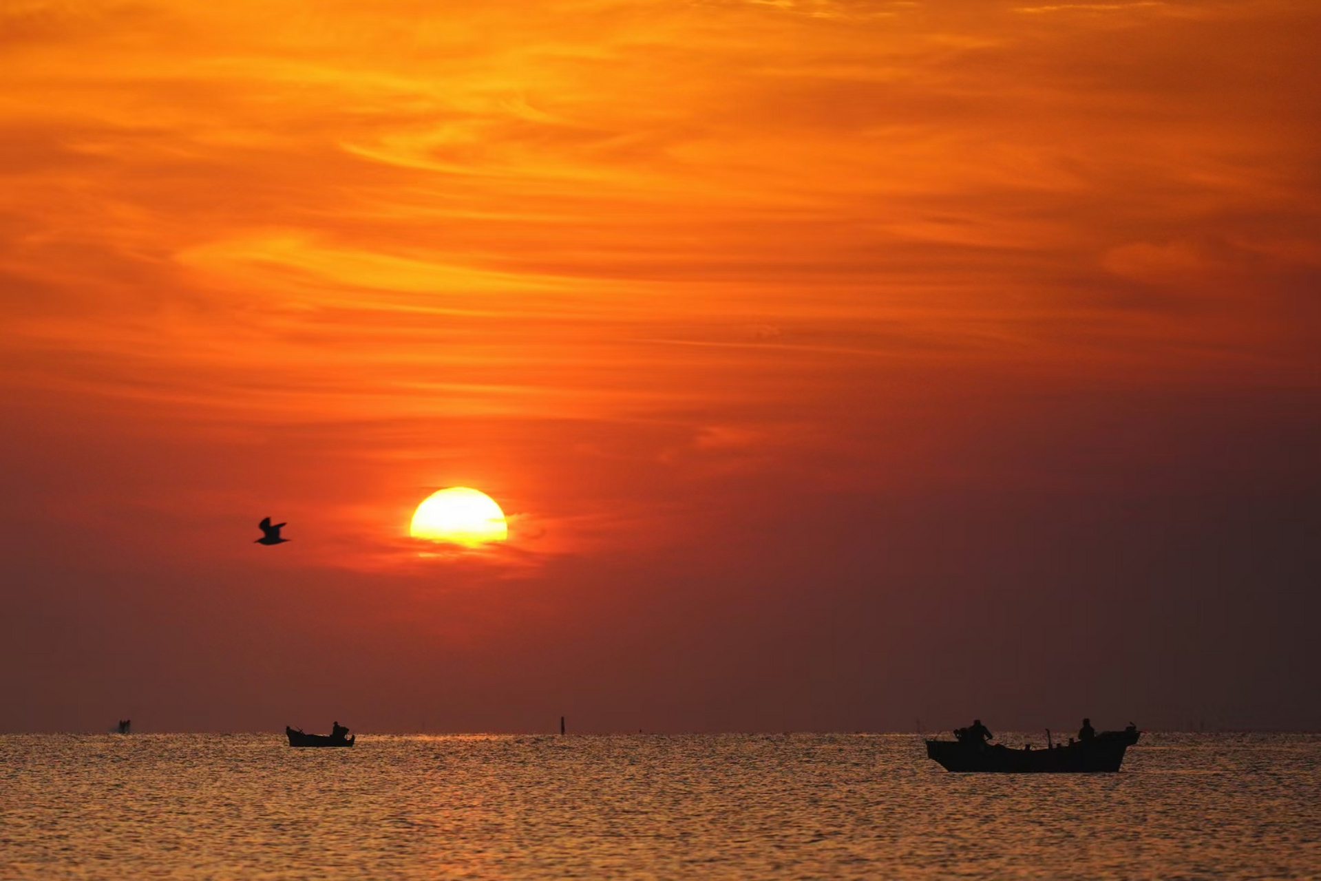 海生壁纸图片