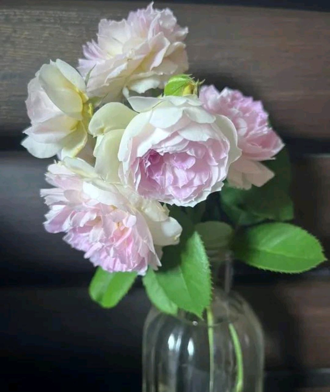 蓝色月光石(blue moonstone)-河本纯子,2020