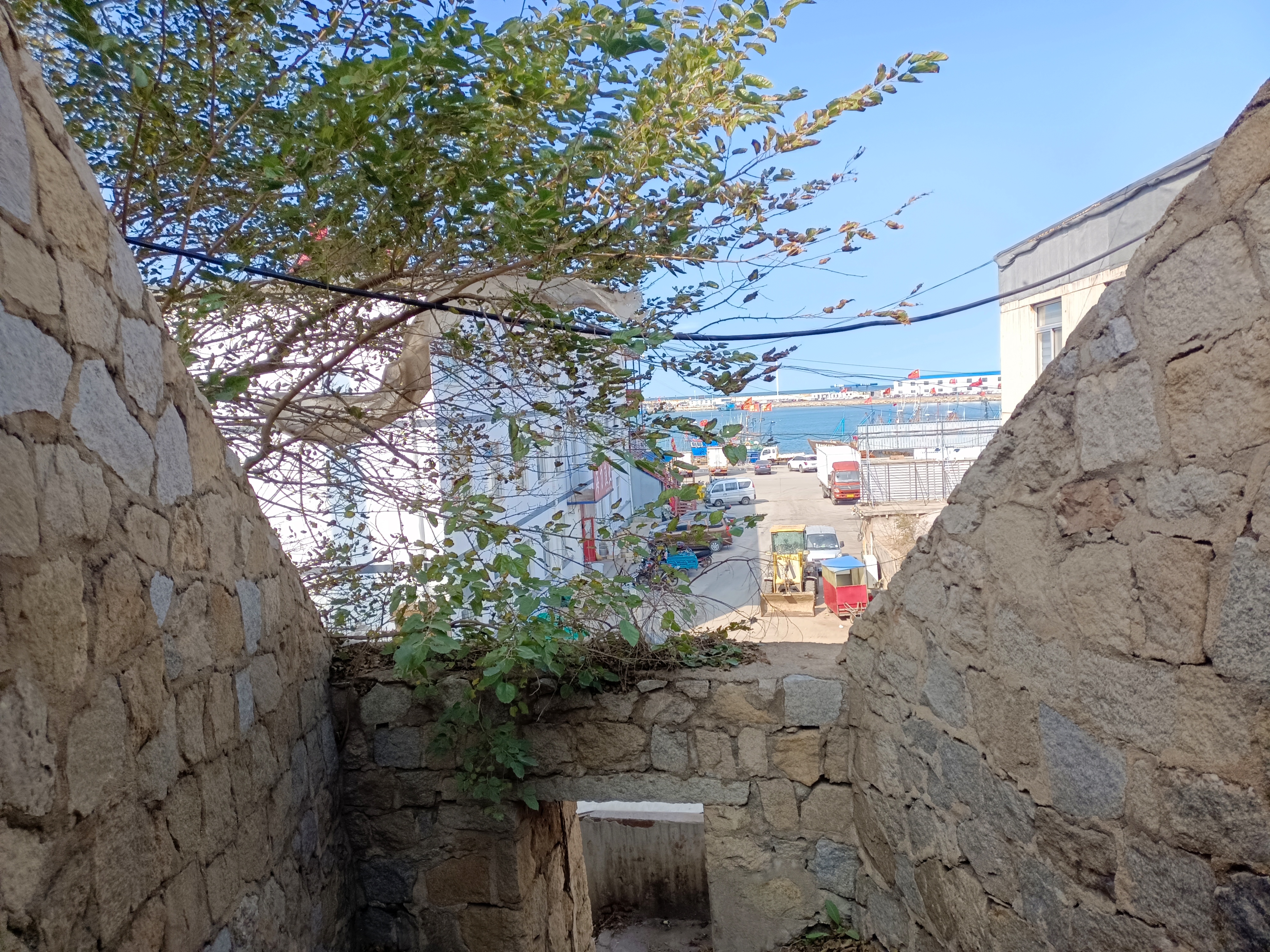 莱州三山岛村经济发展实况分析详解