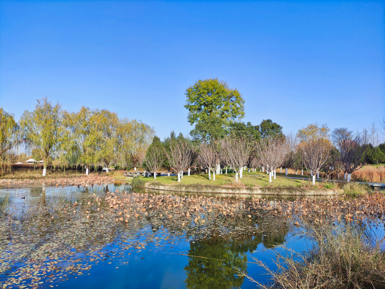 初冬宝鸡太公湖景美如画