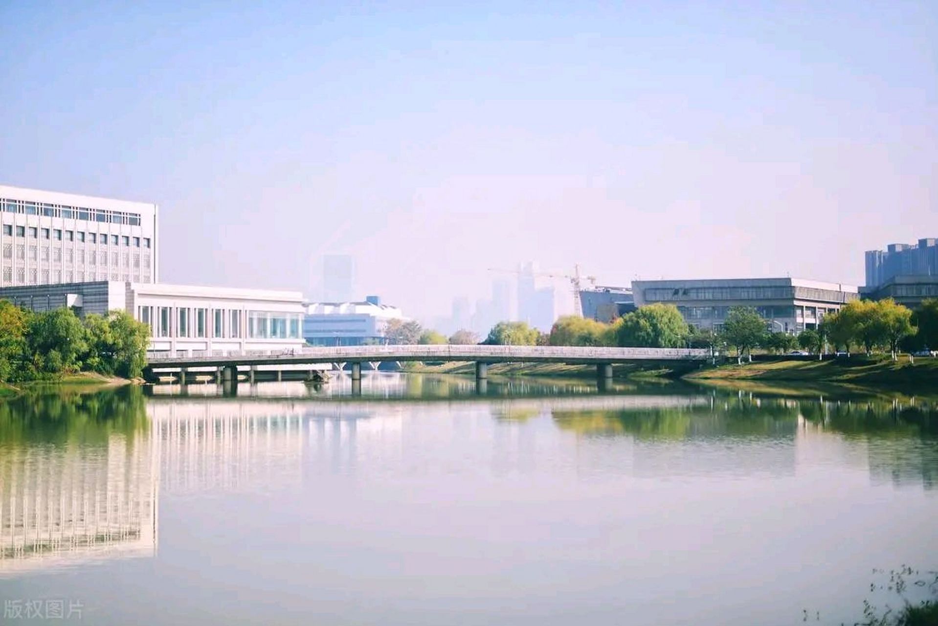 但是中南大学的冶金是世界第一,或许我的选择是错误