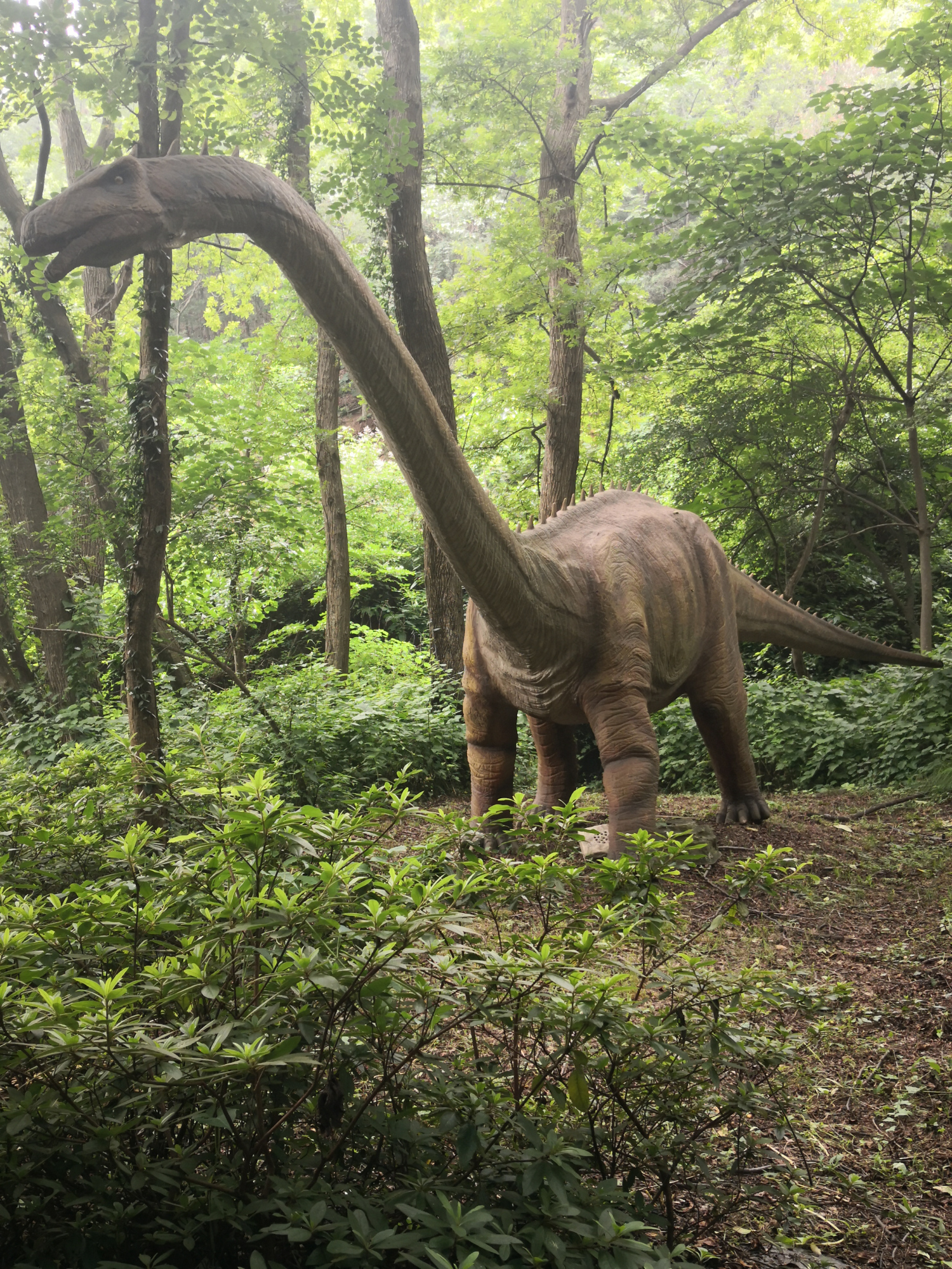 云雾山恐龙谷,设备似乎不维护,可不管怎样孩子们喜欢就够了