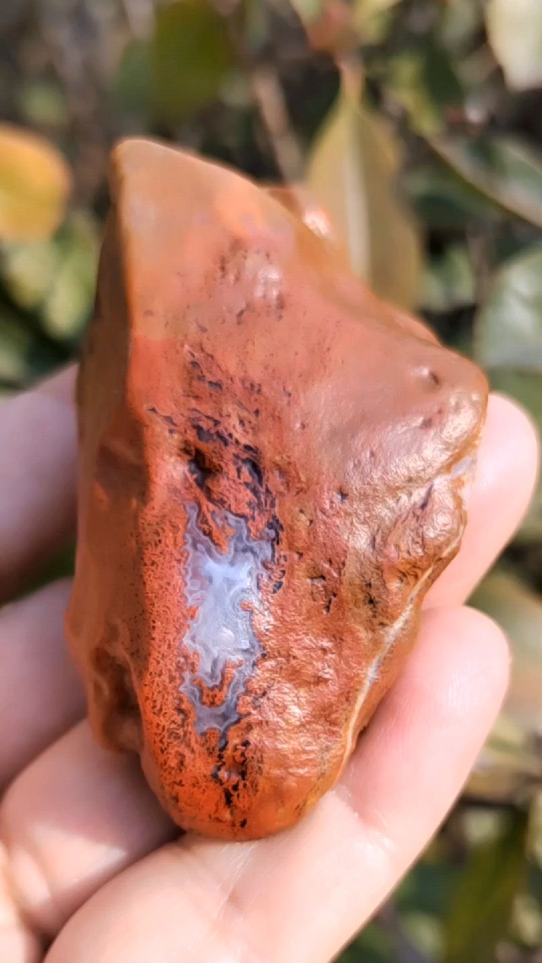 阿拉善戈壁滩地表彩玉和玛瑙共生奇石-度小视