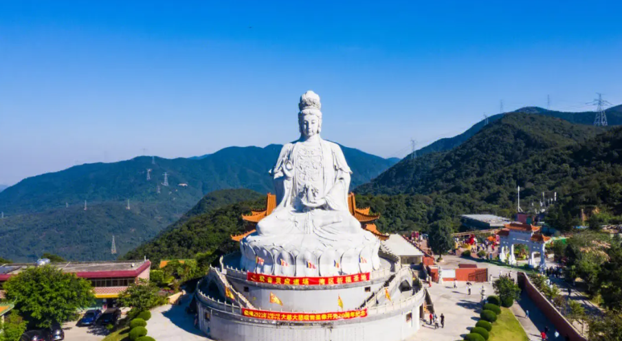 近日,东莞市樟木头镇的观音山景区迎来了异木棉花的盛开,一片粉色花海