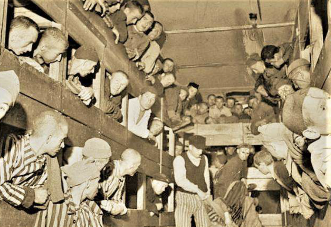 一个幸存者的回忆,纳粹集中营里的见闻