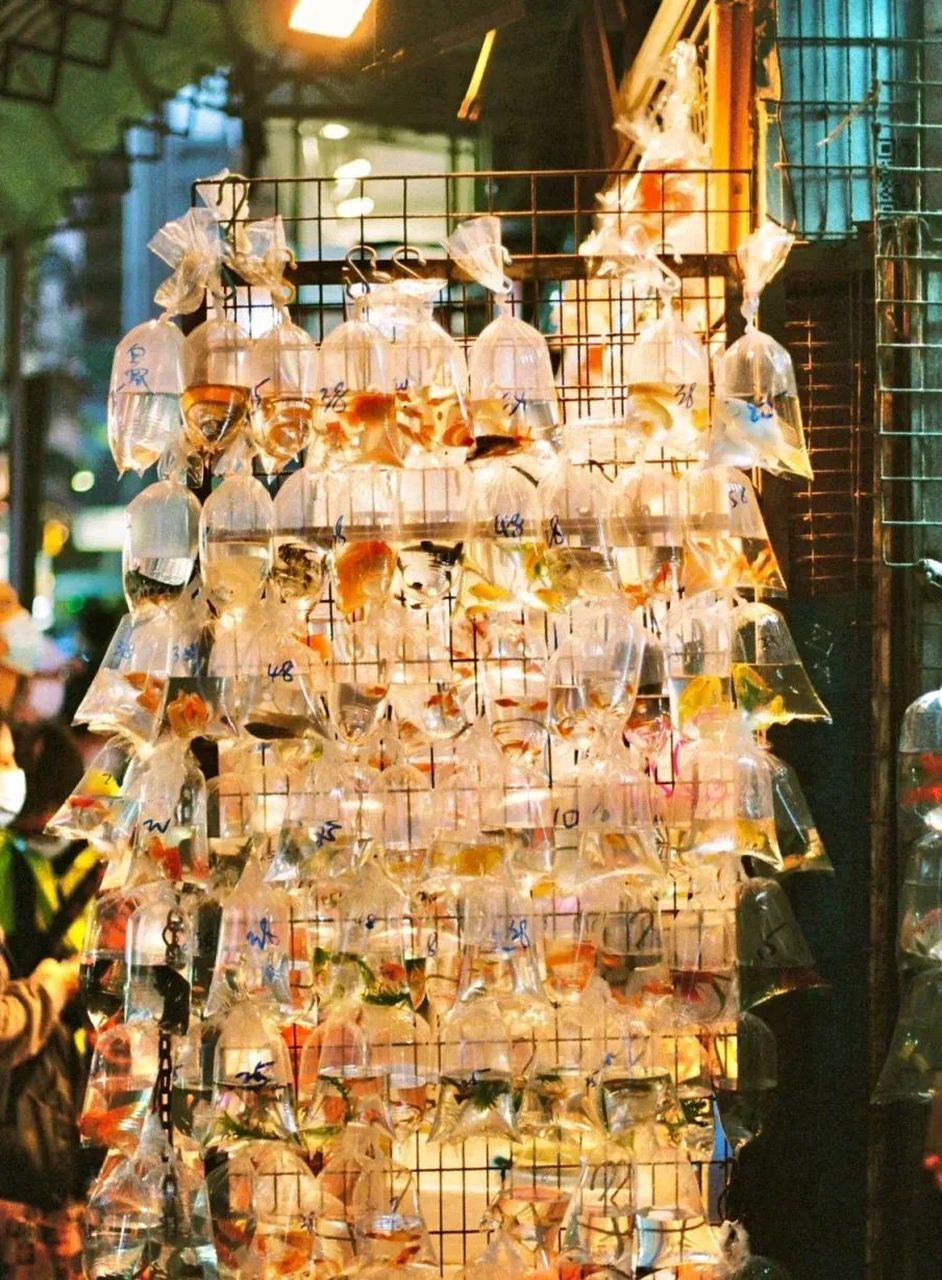 内地网红去香港金鱼街拍照打卡,声称商家态度差,拍张照片索要1000元