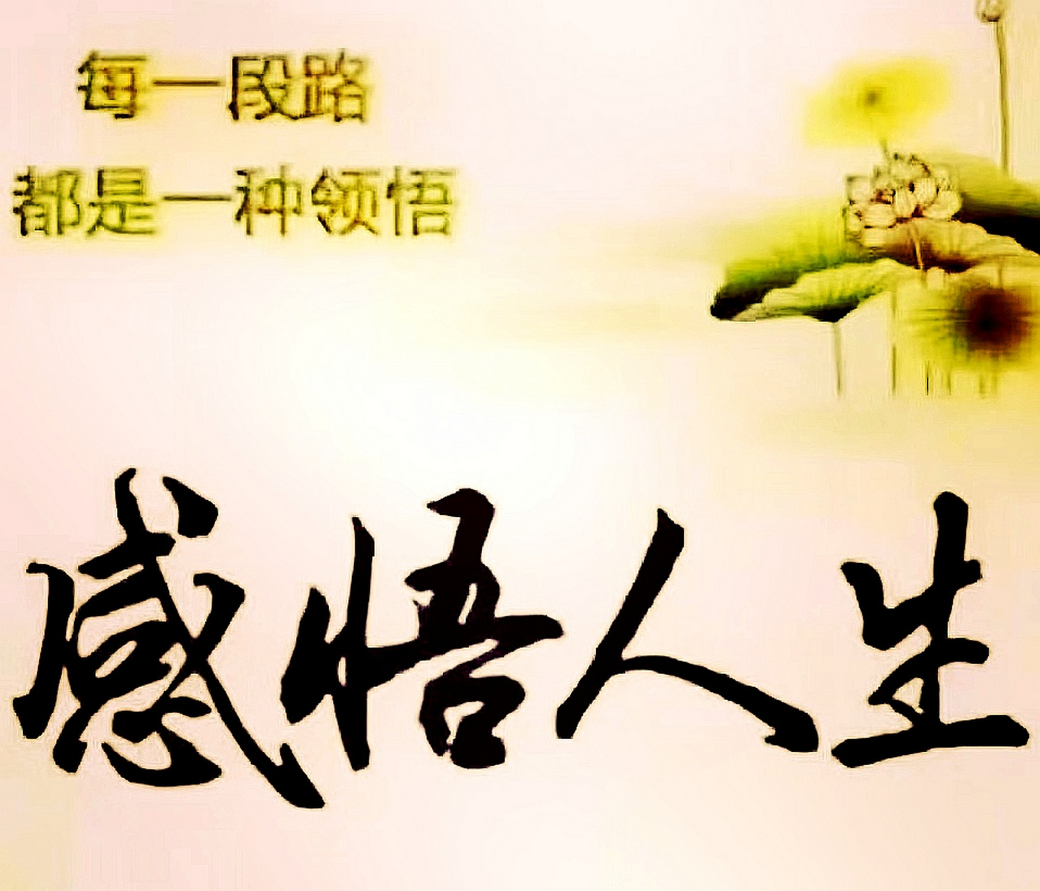 七月创作激励计划# 胸怀坦荡,谦卑礼让的人,总能从他人的言行当中