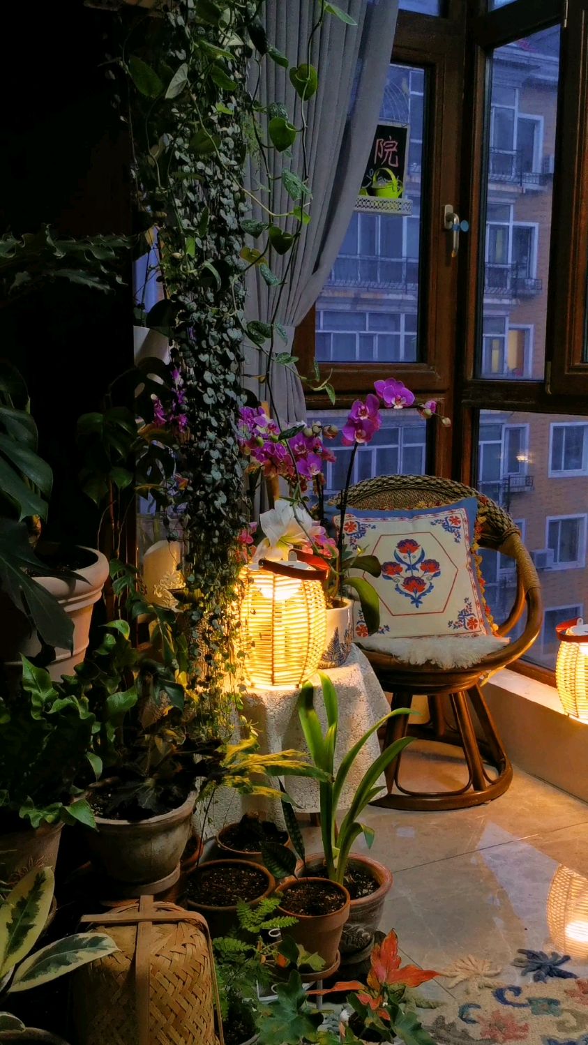夜晚的阳台花园提灯映花红