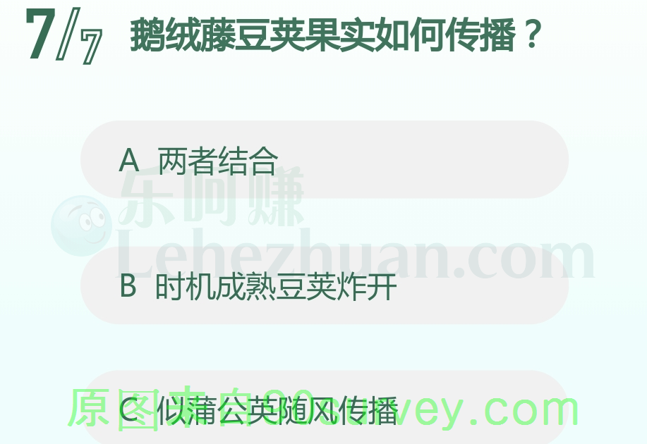 鹅绒藤豆英果实像蒲公英的种子一样传播