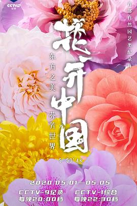 《 花开中国》正版传奇游戏下载