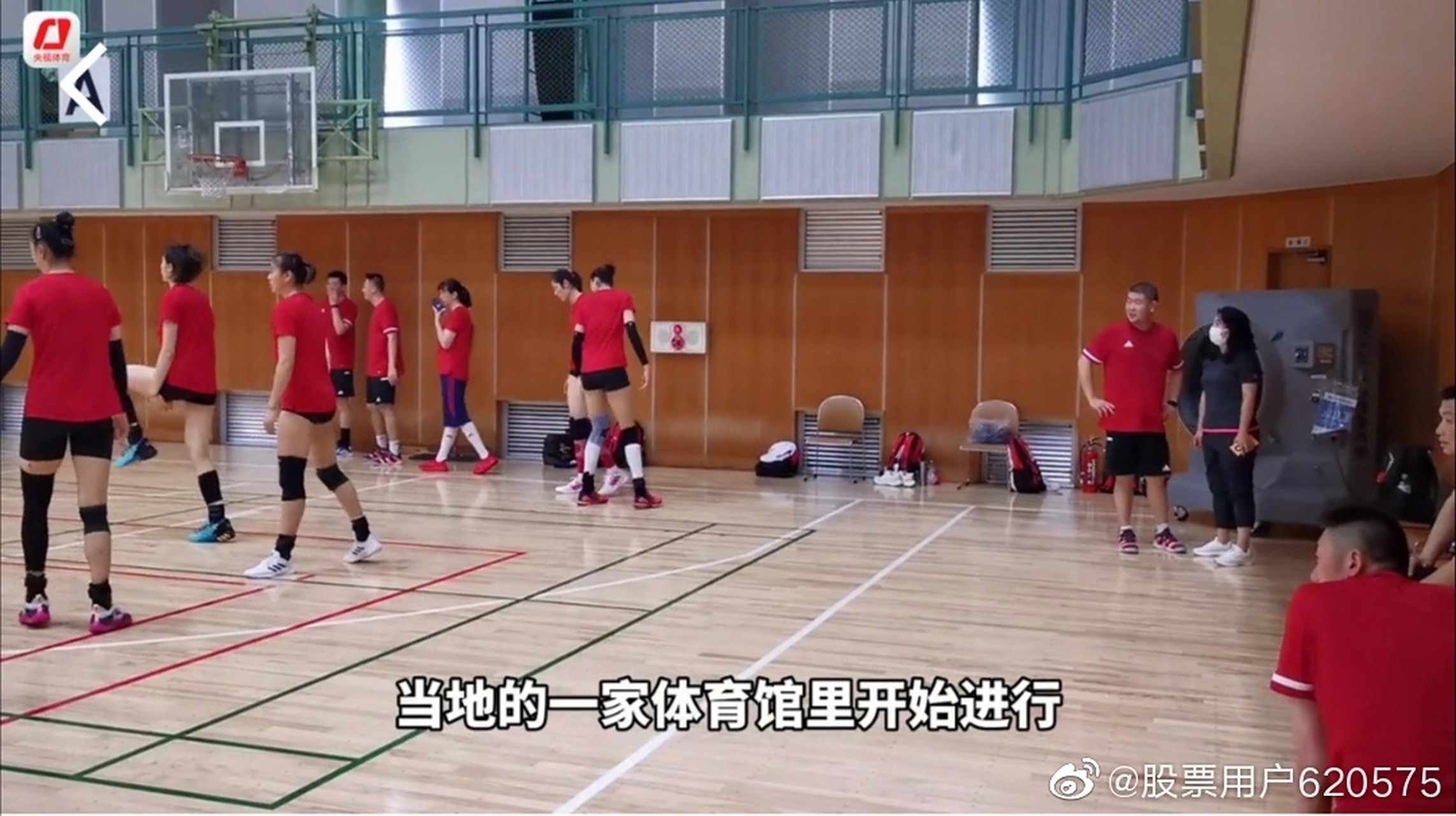 央视体育新闻里面奥运会名单之外的袁志,吴晓雷,于飞,李童,外籍体能师