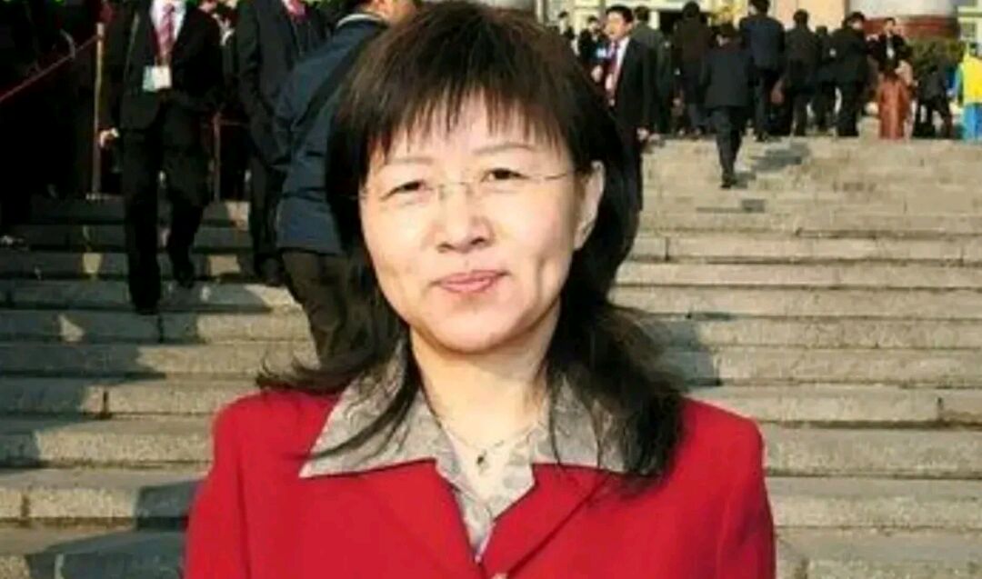 超高音速东风17弹道导弹总设计师,科学院女院士