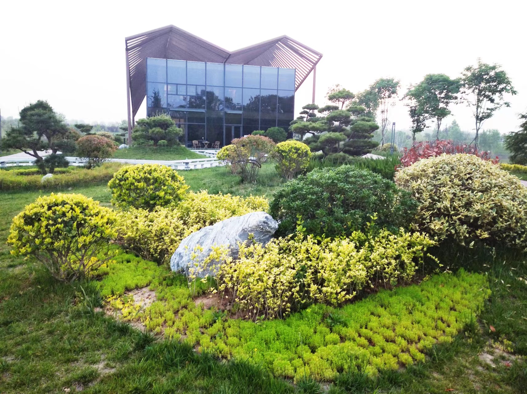 沣河梁家滩湿地公园