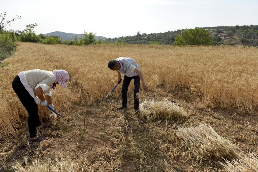 农民最苦,我们应该对得起他们