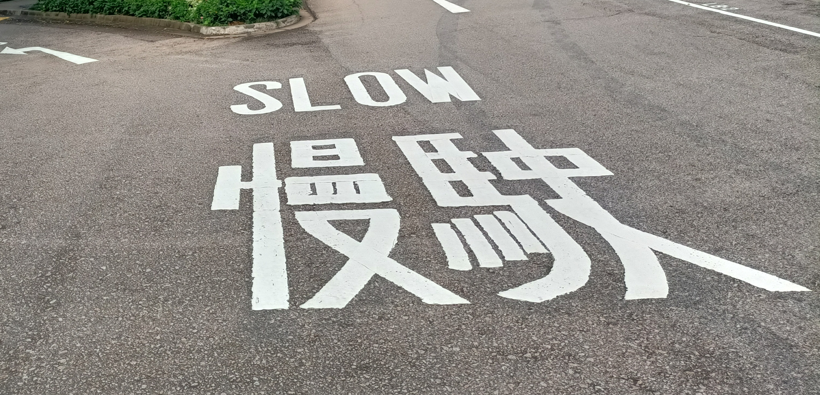 每小时多少公里是"慢驶"呢?#香港# #文化