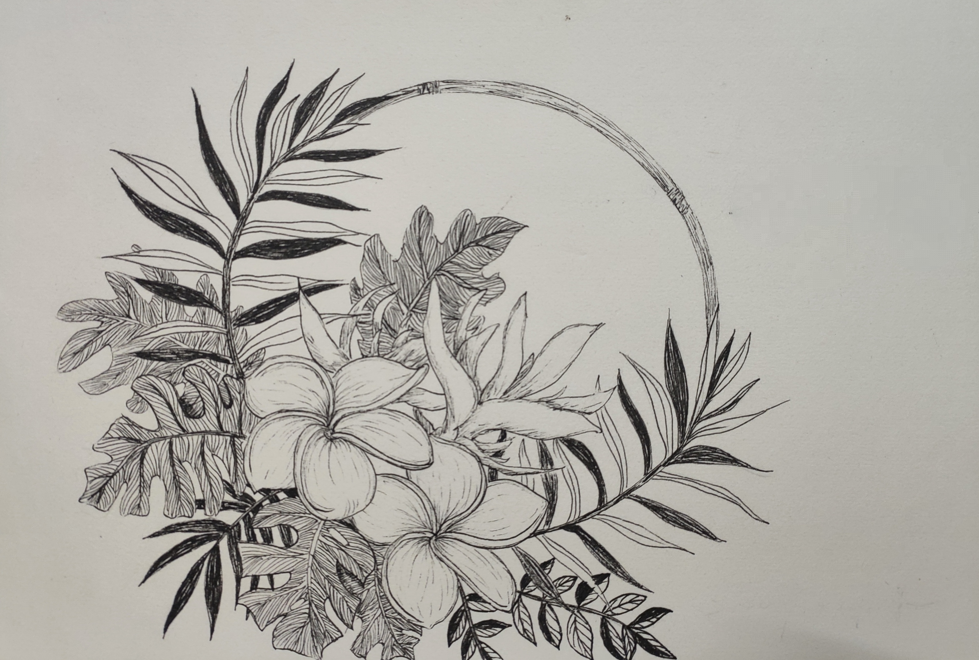 日常各种黑白线描植物/花卉练习,一起来画画吧